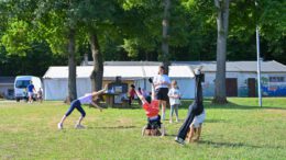 Hanau startet Ferienspiele 2026 unter dem Motto Safari im Großstadtdschungel Hanau startet Ferienspiele 2026 unter dem Motto Safari im Großstadtdschungel