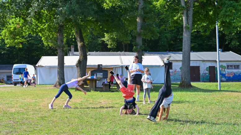 Hanau startet Ferienspiele 2026 unter dem Motto Safari im Großstadtdschungel