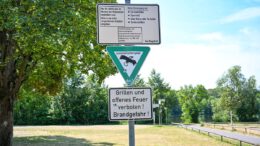 Hanau untersagt offenes Grillen und Lagerfeuer in öffentlichen Anlagen wegen erhöhter Brandgefahr
