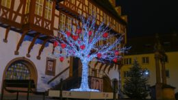 Lichterglanz in Hanau bis 6. Januar 2026: Rundgang von Marktplatz zum Schlossplatz