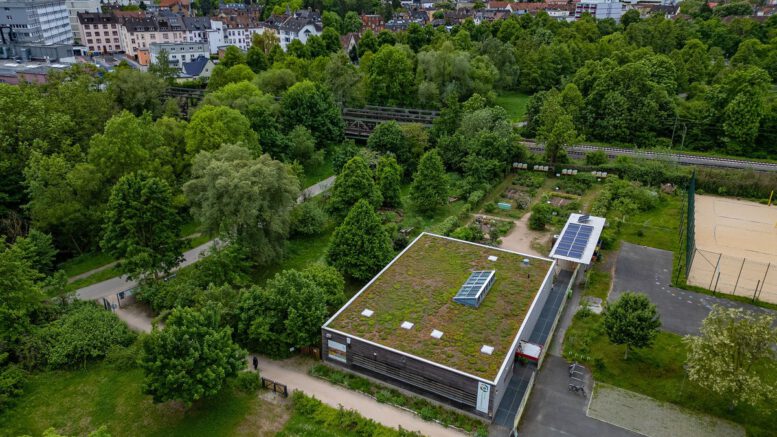 Workshop in Hanau: Reinigungsmittel selber herstellen und Verpackung vermeiden
